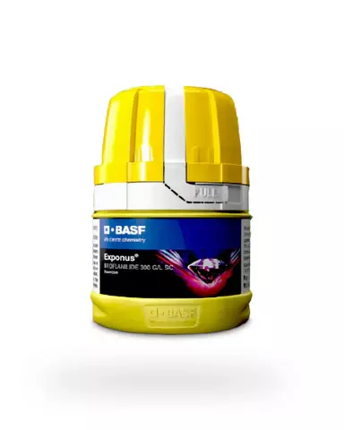 Exponus Insecticide -17ml